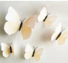 Beautiful 3D Butterfly Art Design Wall Sticker