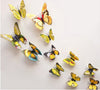 Beautiful 3D Butterfly Art Design Wall Sticker