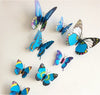 Beautiful 3D Butterfly Art Design Wall Sticker